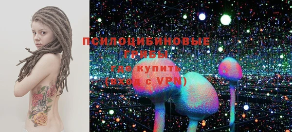 шишки Аркадак