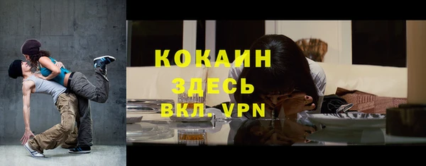 шишки Аркадак