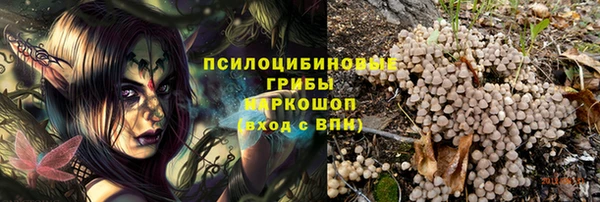 прущие грибы Армянск