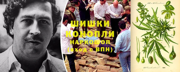 шишки Аркадак