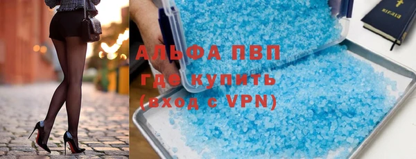 шишки Аркадак