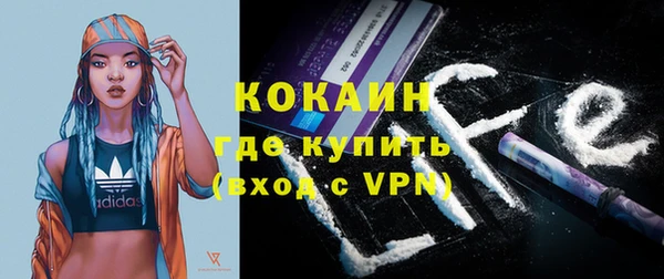 шишки Аркадак