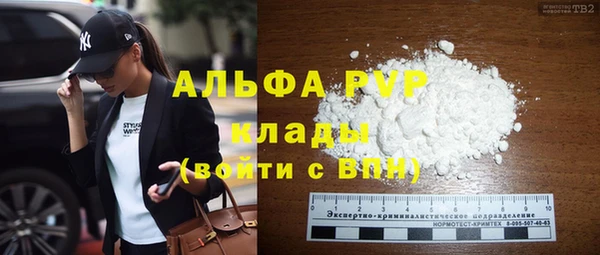 шишки Аркадак