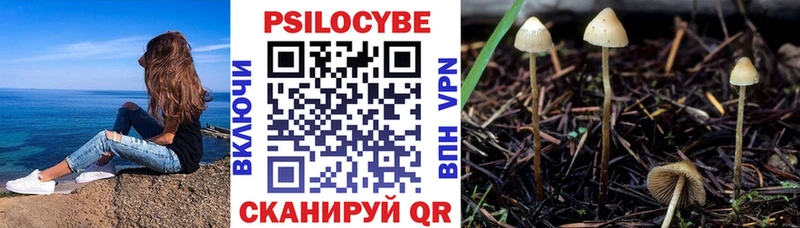 Галлюциногенные грибы Psilocybe  shop наркотические препараты  Полярный 